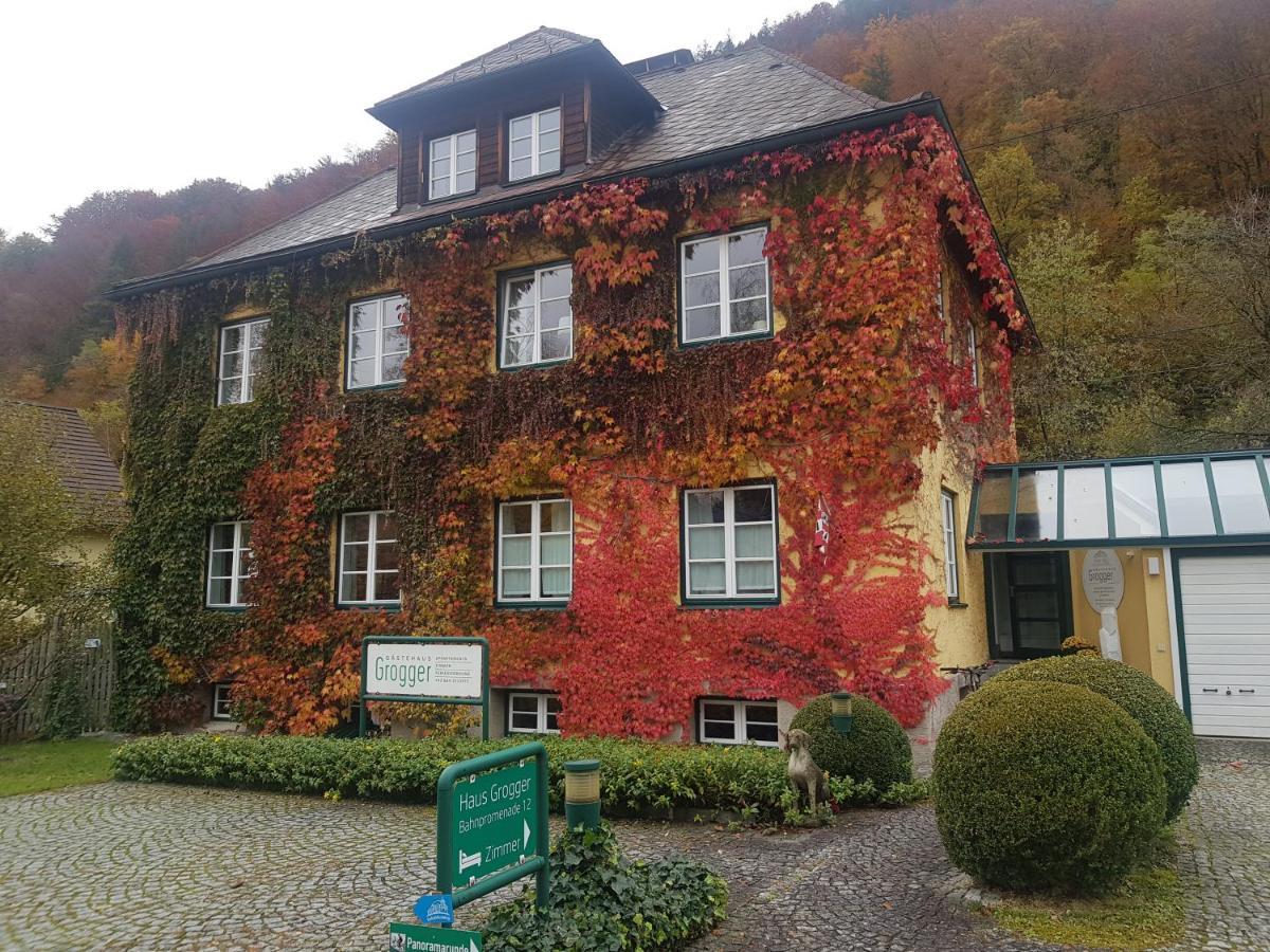 Gaestehaus Grogger Weyer Markt Dış mekan fotoğraf
