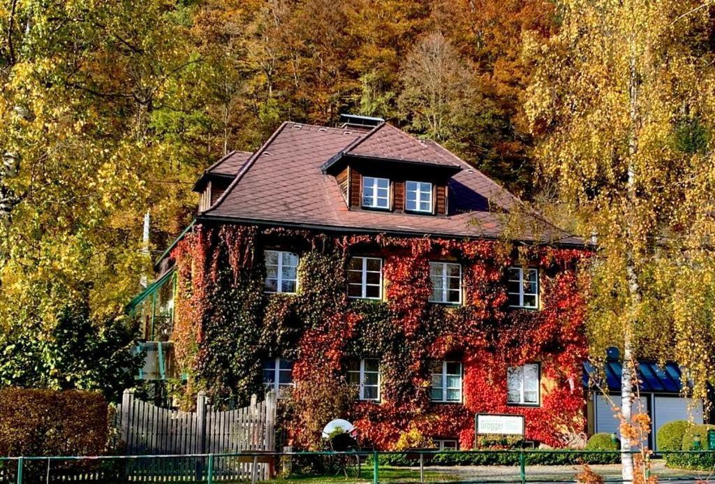 Gaestehaus Grogger Weyer Markt Dış mekan fotoğraf