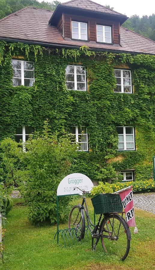 Gaestehaus Grogger Weyer Markt Dış mekan fotoğraf