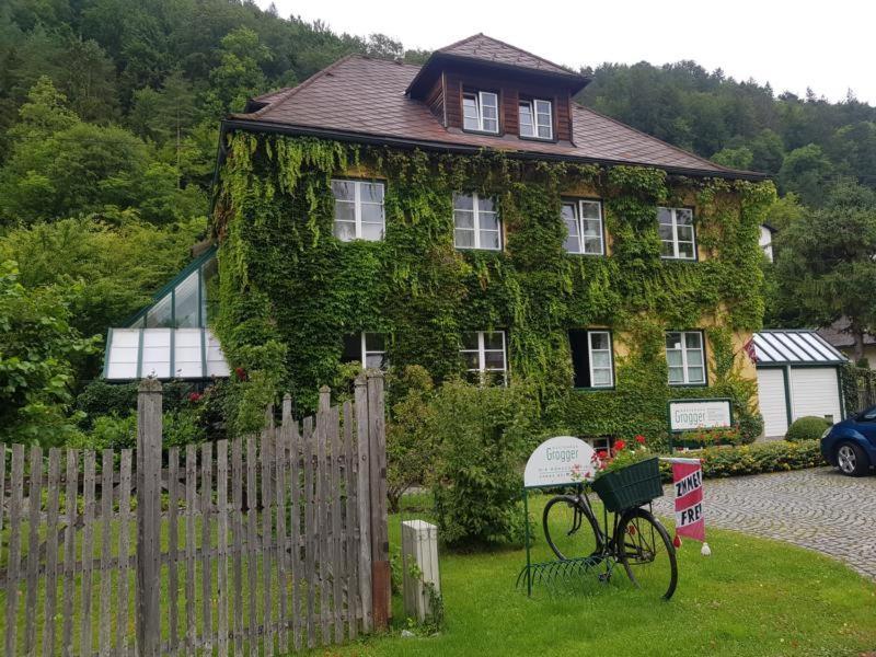 Gaestehaus Grogger Weyer Markt Dış mekan fotoğraf