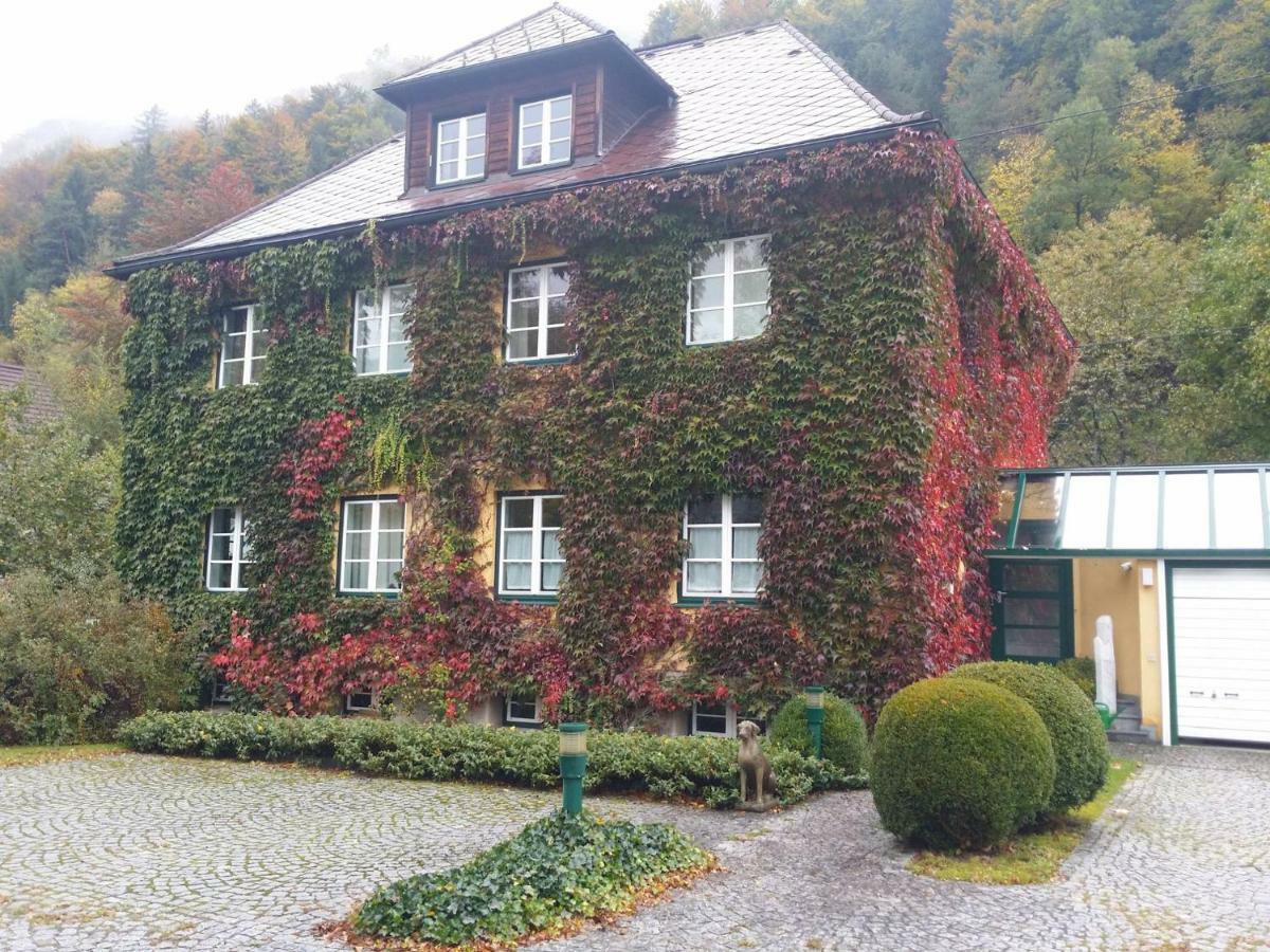 Gaestehaus Grogger Weyer Markt Dış mekan fotoğraf