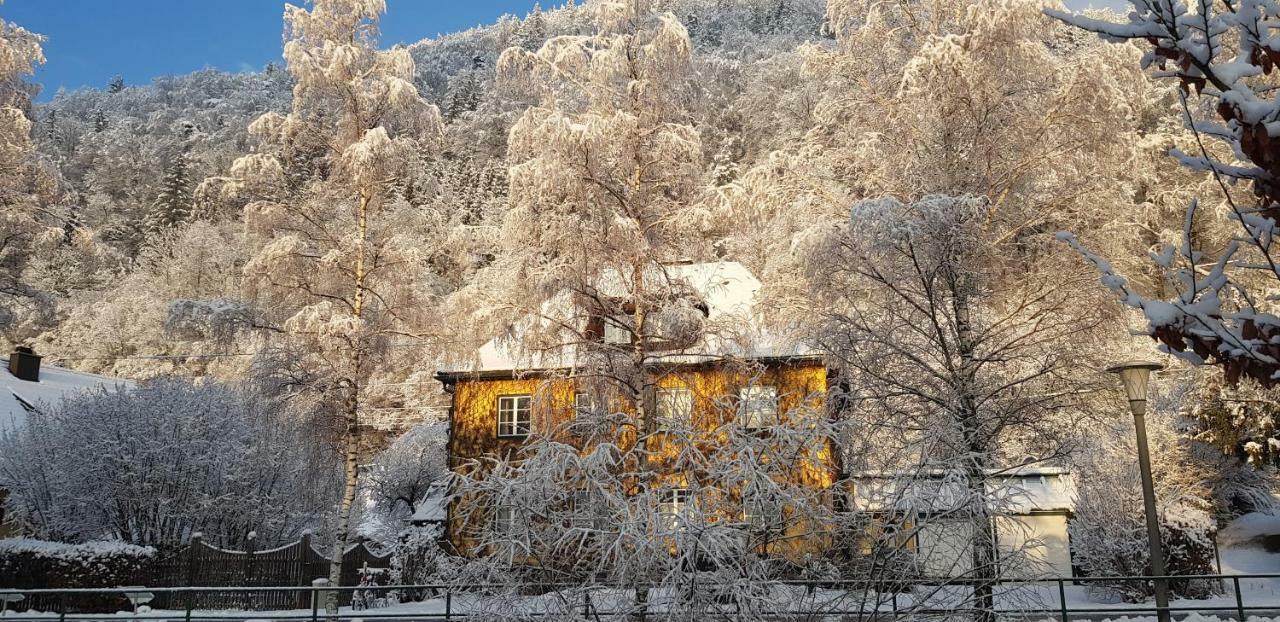 Gaestehaus Grogger Weyer Markt Dış mekan fotoğraf